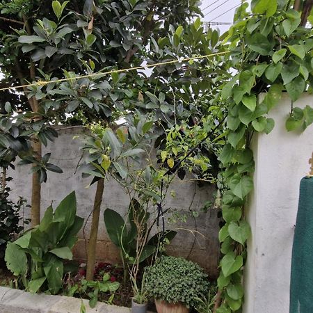 Malgudi Mane Homestay Chikmagalur Exterior photo