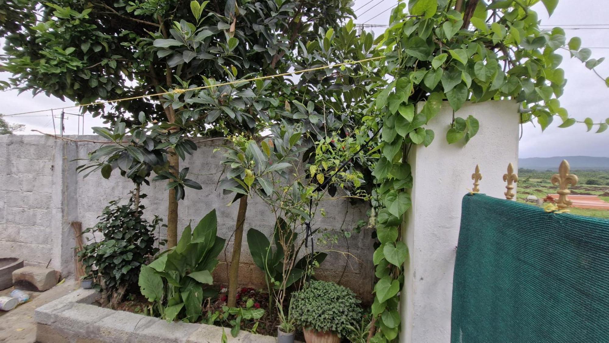 Malgudi Mane Homestay Chikmagalur Exterior photo